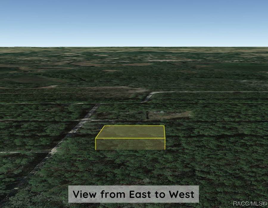 Lot B NE 66th Court, Citra, Florida image 10