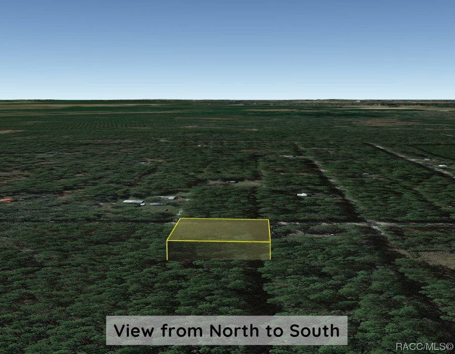 Lot B NE 66th Court, Citra, Florida image 14