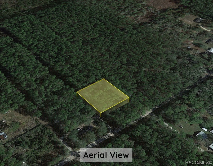 Lot B NE 66th Court, Citra, Florida image 11