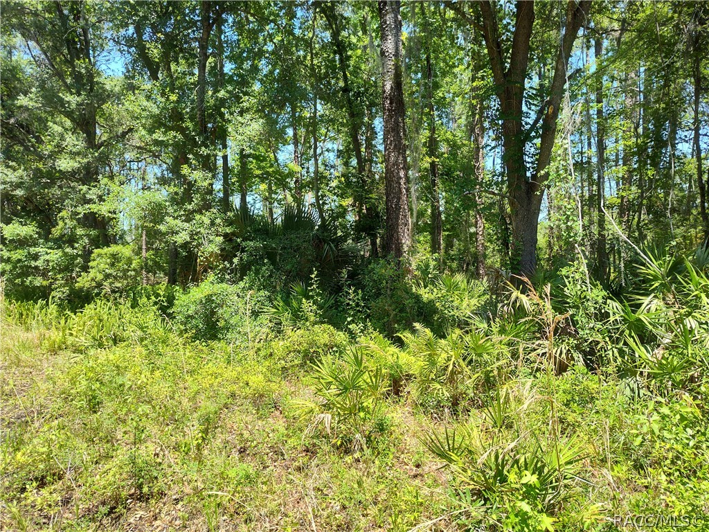 Lot B NE 66th Court, Citra, Florida image 1