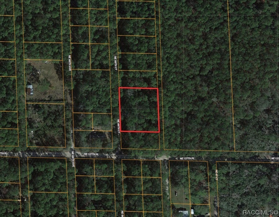 Lot B NE 66th Court, Citra, Florida image 6