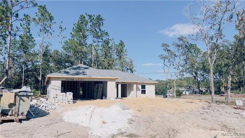 A home in Citrus Springs