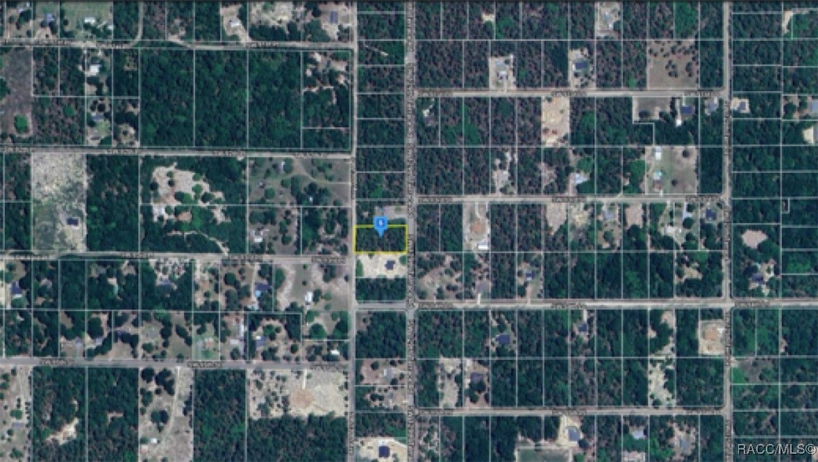 Lot 8 Tbd, Dunnellon, Florida image 1