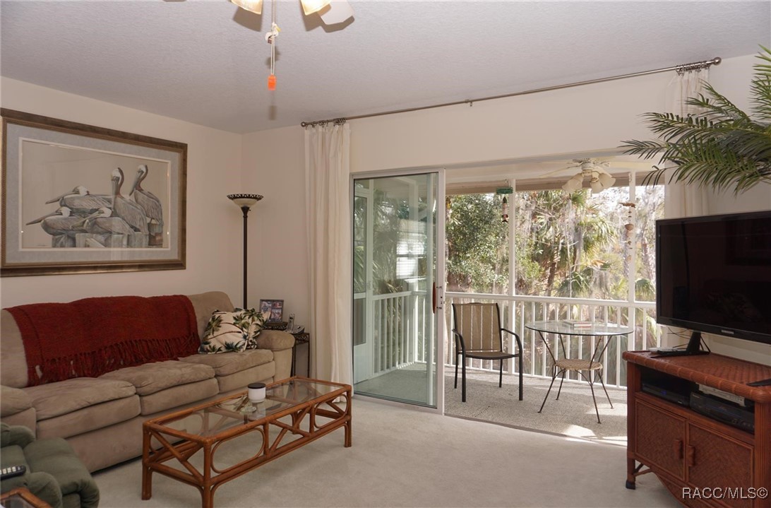 11246 W Freshwater Path, Crystal River, Florida image 7