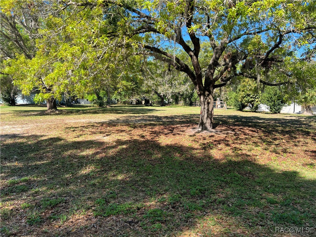 3022 S Skyline Drive, Inverness, Florida image 5