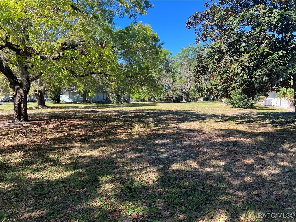 3022 S Skyline Drive, Inverness, Florida image 7