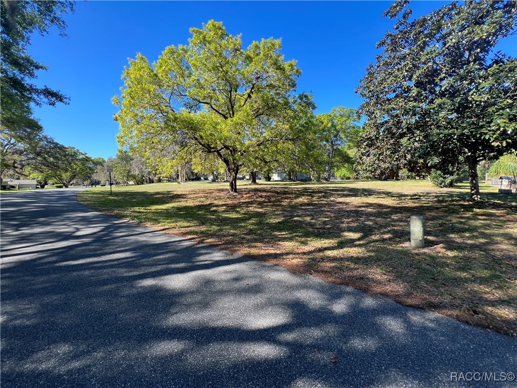 3022 S Skyline Drive, Inverness, Florida image 8