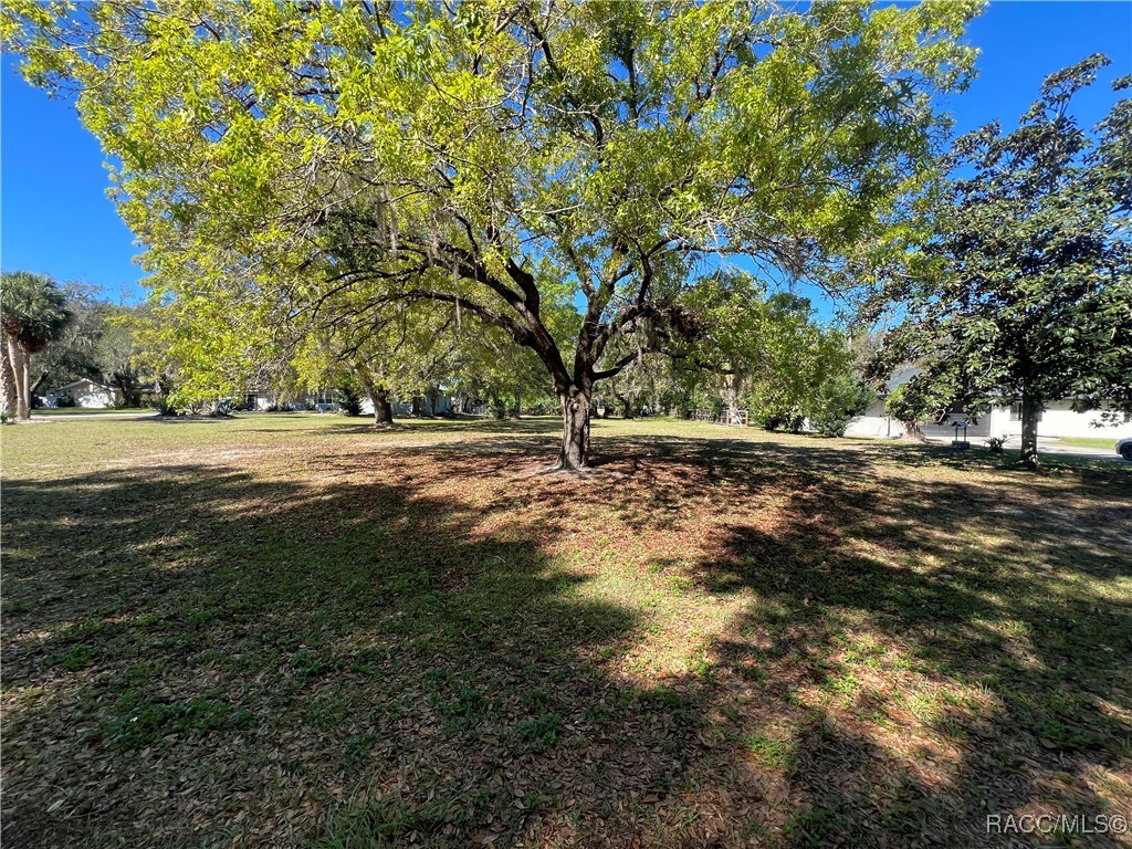 3022 S Skyline Drive, Inverness, Florida image 4