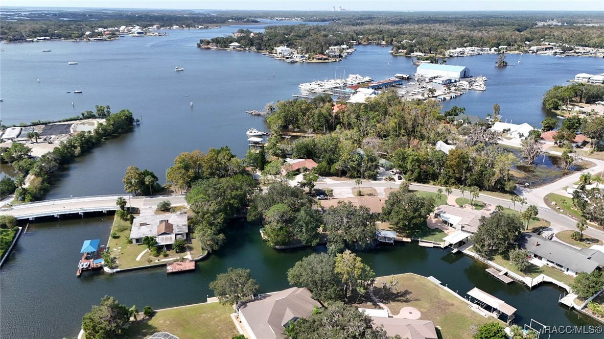 217 SW Kings Bay Drive, Crystal River, Florida image 8