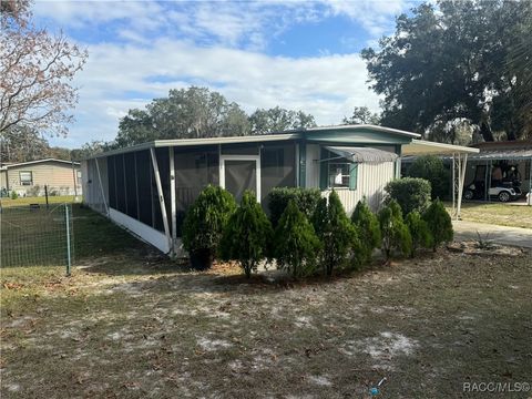 5169 S Castlelake Avenue Floral City FL 34450