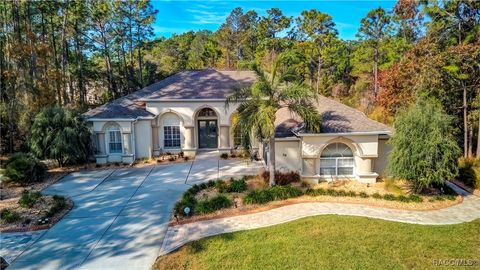 A home in Homosassa