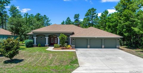 Homes For Sale - 5 Saintpaulia Street<br/> Citrus County, Homosassa, FL 34446