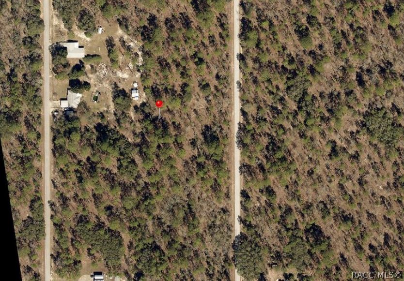 Lot 5 NW Smallwood Road, Dunnellon, New York image 3