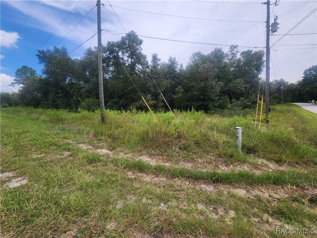 Photo 1 of 12 — TBD SW Shorewood Drive, Other, FL 34431