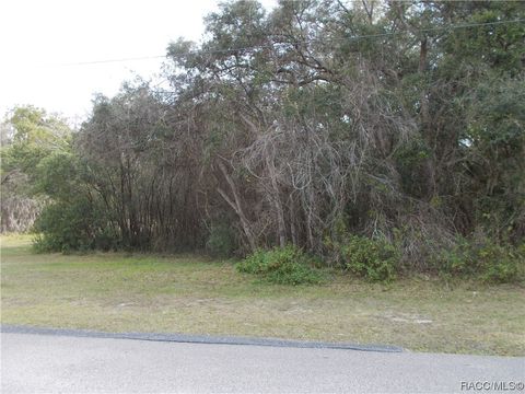 241 N HIGHVIEW Avenue Hernando FL 34442