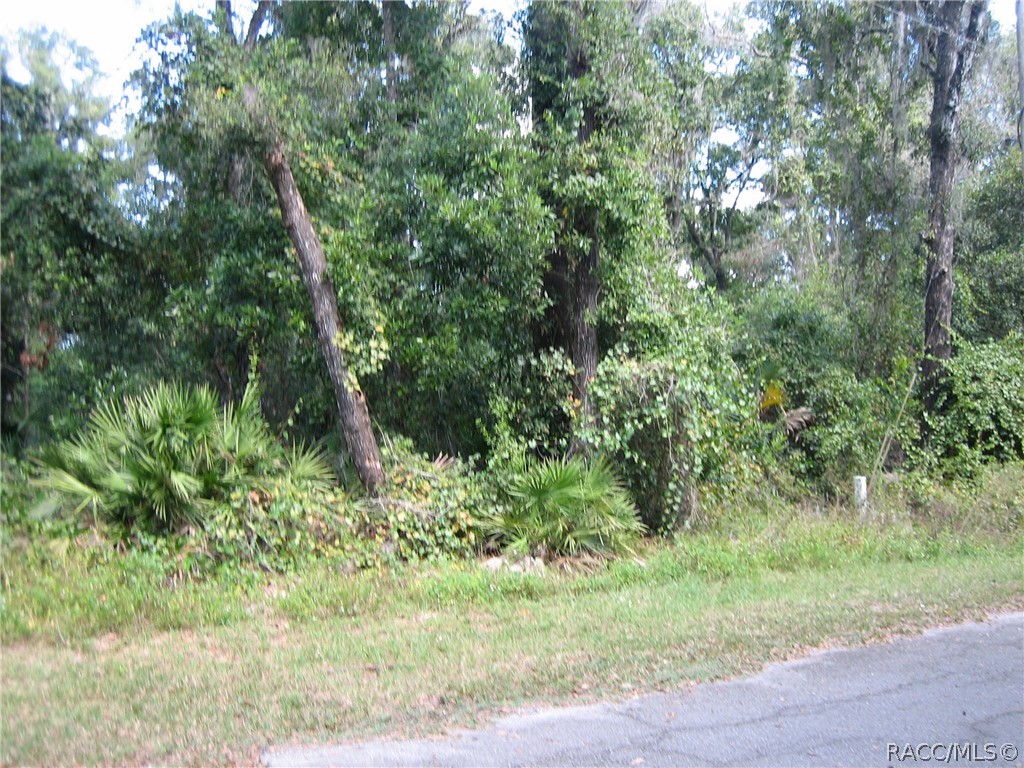 6675 N Hartman Path, Hernando, Florida image 2