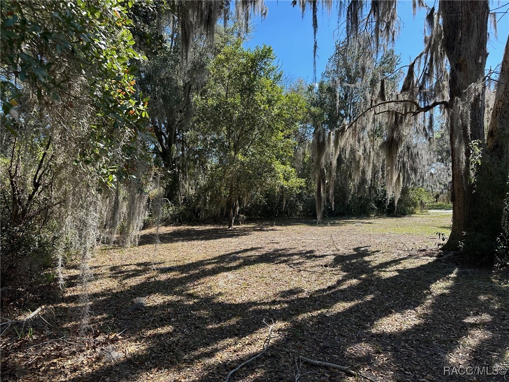 116 Dr Martin Luther King Jr Avenue