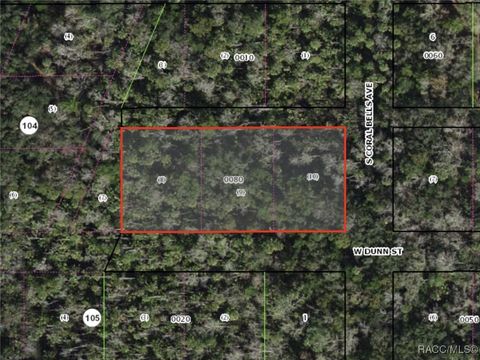 Vacant Land For Sale - 10427 W Dunn Street<br/> Homosassa, FL 34448