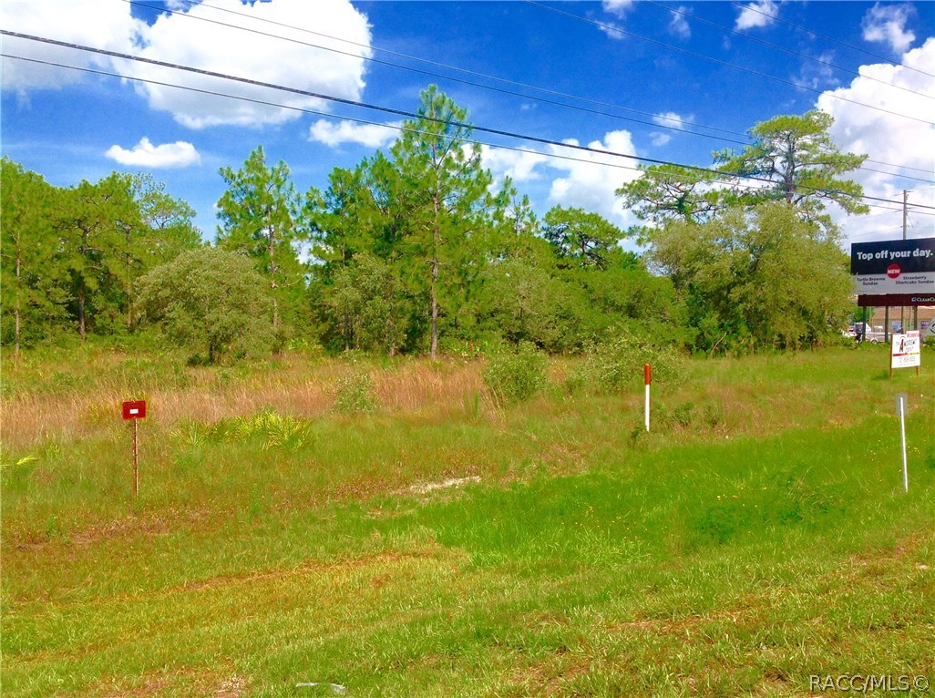 7293 S Suncoast Boulevard