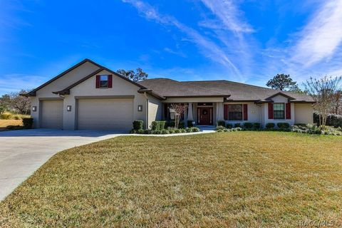 17 GREVILLEA Court Homosassa FL 34446