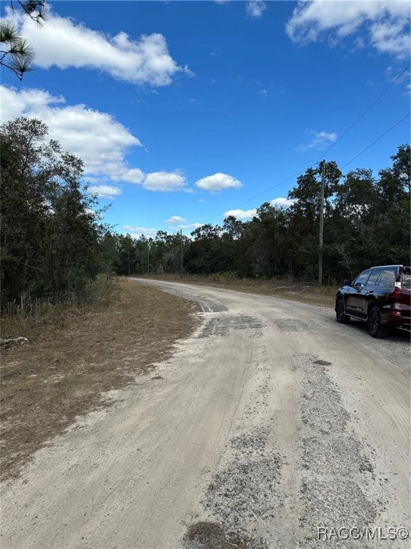 1419 W Belen Drive, Dunnellon, Florida image 9