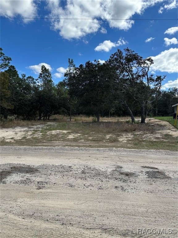 1419 W Belen Drive, Dunnellon, Florida image 8