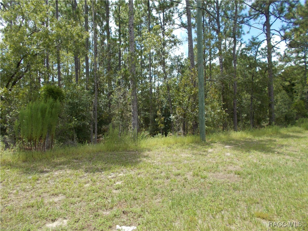 Citrus Springs, Florida 34434, United States, ,Land,Active,196055