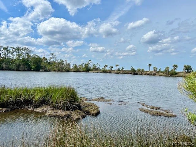 14500 W Fort Island Trail, Crystal River, Florida image 31