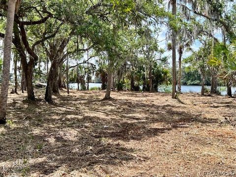 14500 W Fort Island Trail Crystal River FL 34429