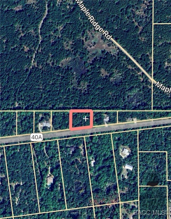 Lot 4 SE 193rd Place, Yankeetown, Florida image 2