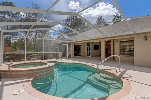 7567 N Fountainhead Drive Citrus Springs FL 34433