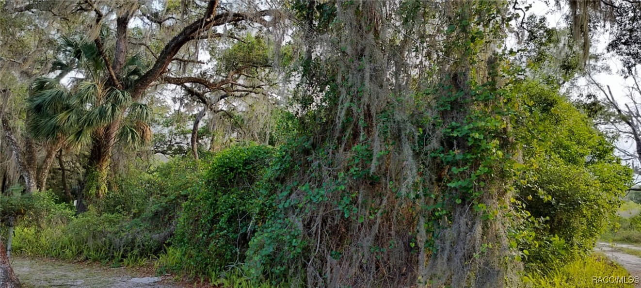 63 N Sheltering Oaks Drive, Inverness, Florida image 10