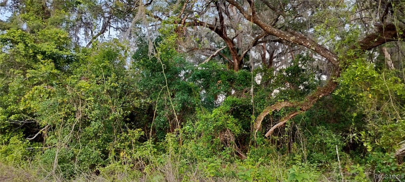 63 N Sheltering Oaks Drive, Inverness, Florida image 11