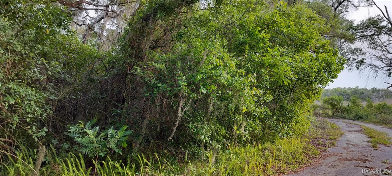 63 N Sheltering Oaks Drive, Inverness, Florida image 19