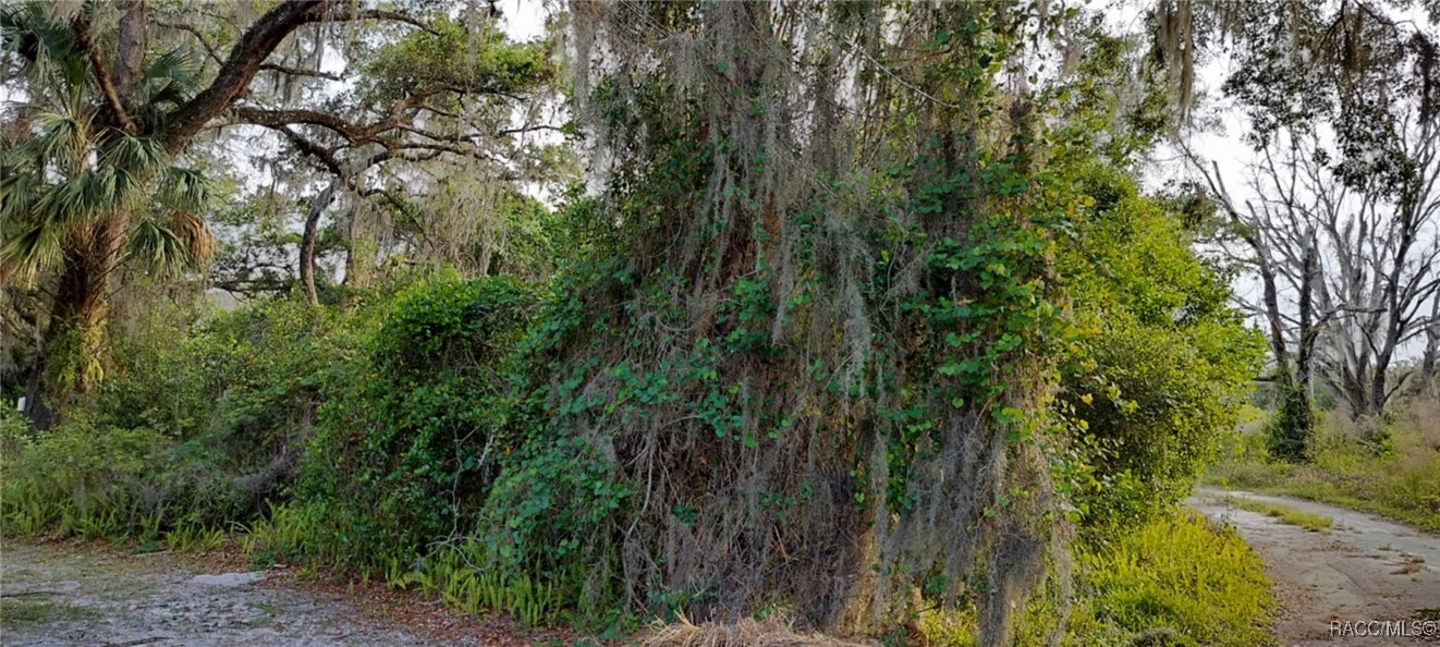 63 N Sheltering Oaks Drive, Inverness, Florida image 1