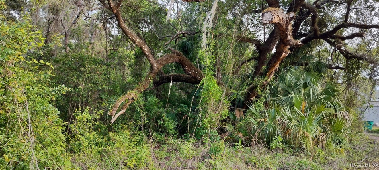 63 N Sheltering Oaks Drive, Inverness, Florida image 22