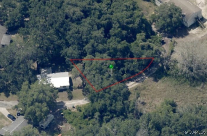 63 N Sheltering Oaks Drive, Inverness, Florida image 4