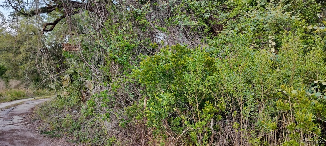 63 N Sheltering Oaks Drive, Inverness, Florida image 16
