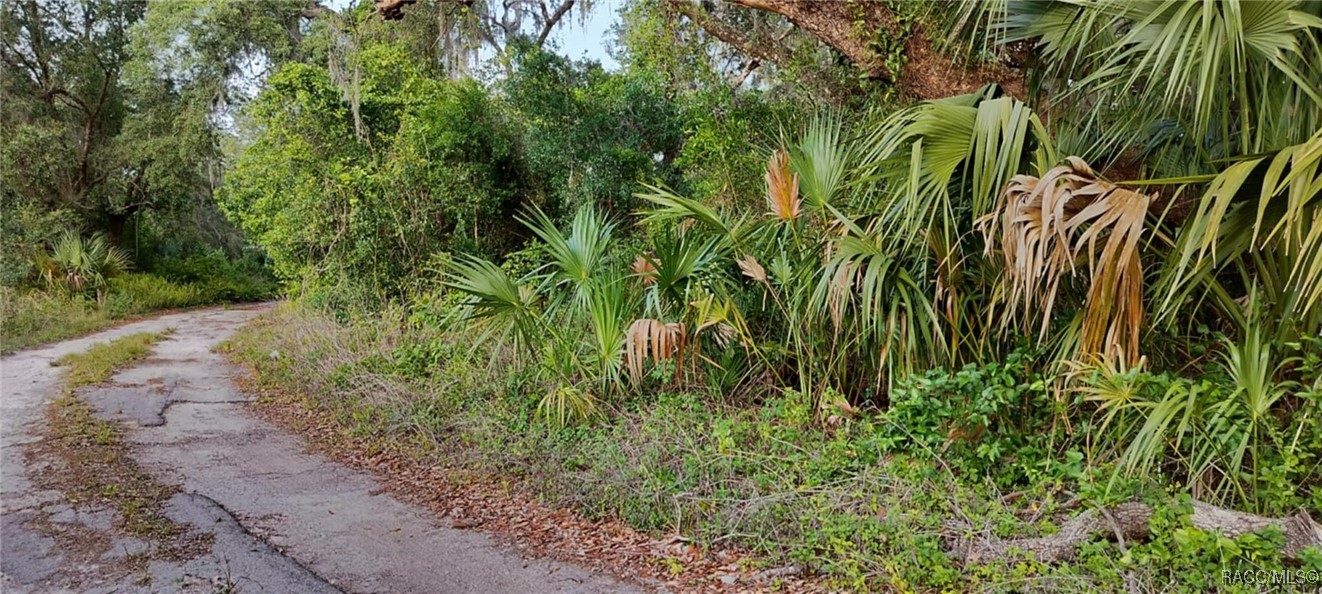 63 N Sheltering Oaks Drive, Inverness, Florida image 3