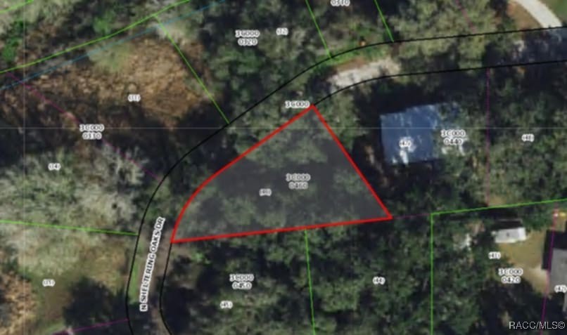 63 N Sheltering Oaks Drive, Inverness, Florida image 17