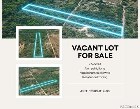 Vacant Land For Sale - TBD NE 56th Street<br/> Bronson, FL 32621