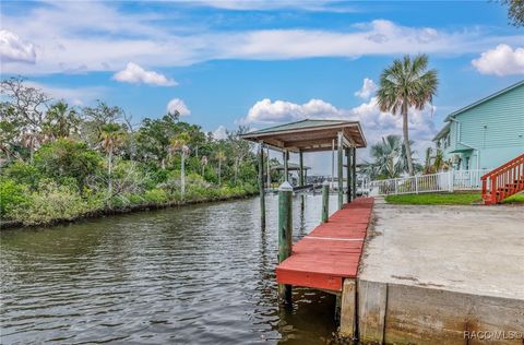 12390 W STANDISH Drive Homosassa FL 34448