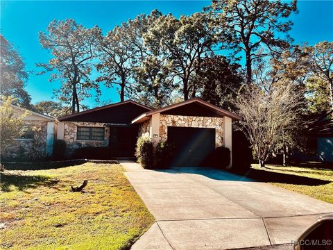 A home in Homosassa