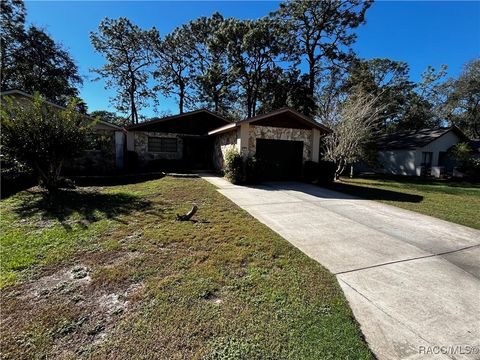 A home in Homosassa