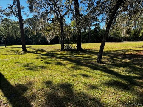 A home in Homosassa