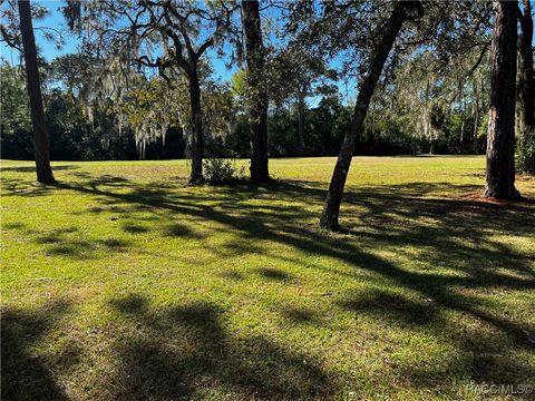 A home in Homosassa