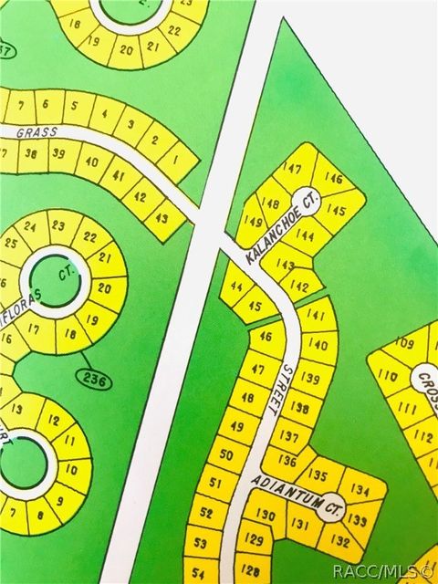 Vacant Land For Sale - 58 Grass Street<br/> Homosassa, FL 34446