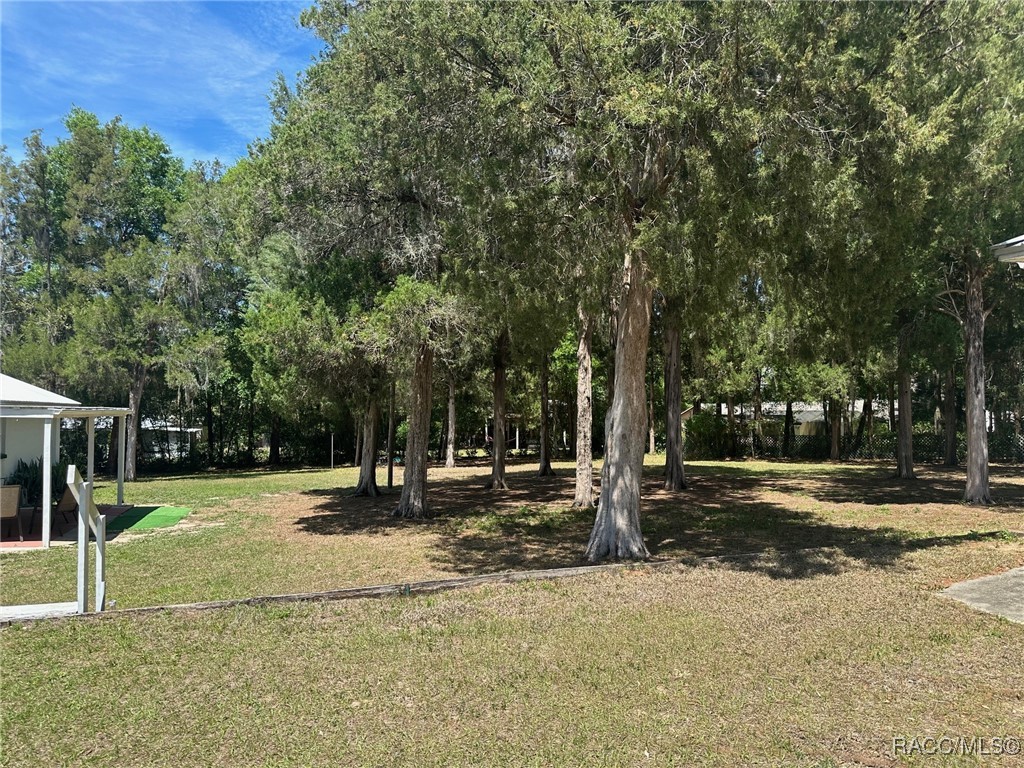 6205 S Shadowood Point, Floral City, New York image 25