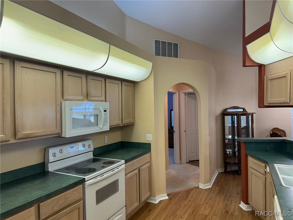 6205 S Shadowood Point, Floral City, New York image 9