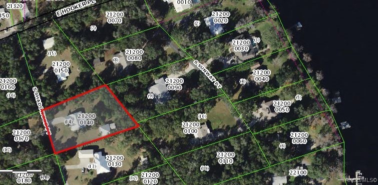 6205 S Shadowood Point, Floral City, New York image 26